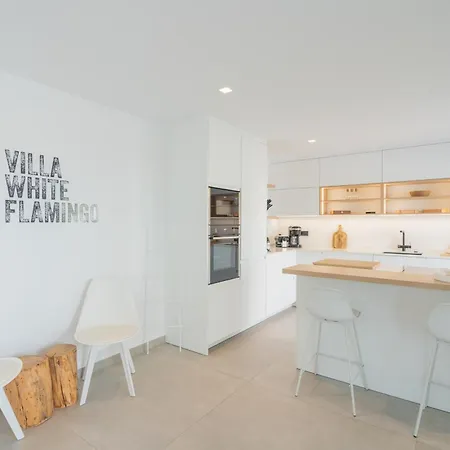 Costablancadreams White Flamingo In *