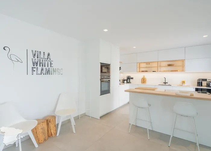 Costablancadreams White Flamingo In *